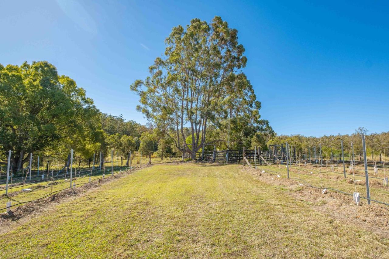 Вилла Widgereedoo Farm. Vineyard Views. Peaceful Retreat. Tamaree Экстерьер фото